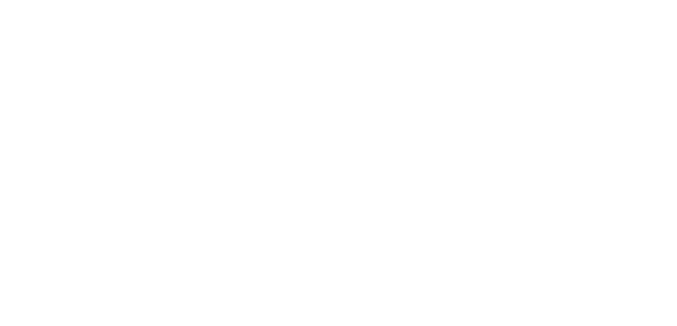 Roto Rooter